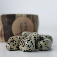 Load image into Gallery viewer, DALMATION JASPER
